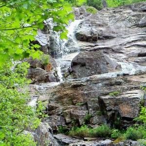 Meet your Posher, Tanya